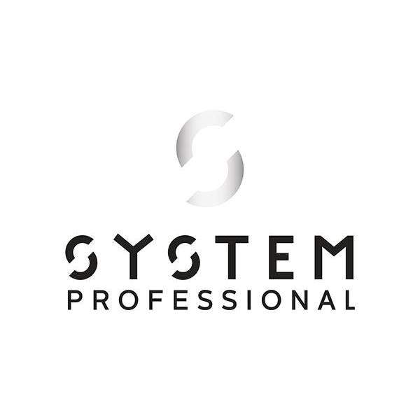 SP System Professional