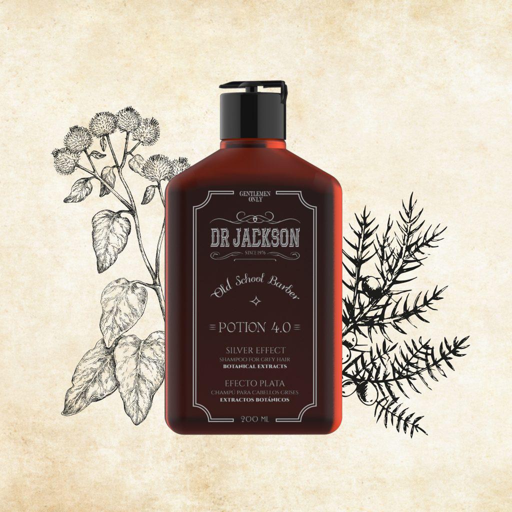 Black Friday Dr.Jackson Potion 4.0 Silver Sjampó 200ml