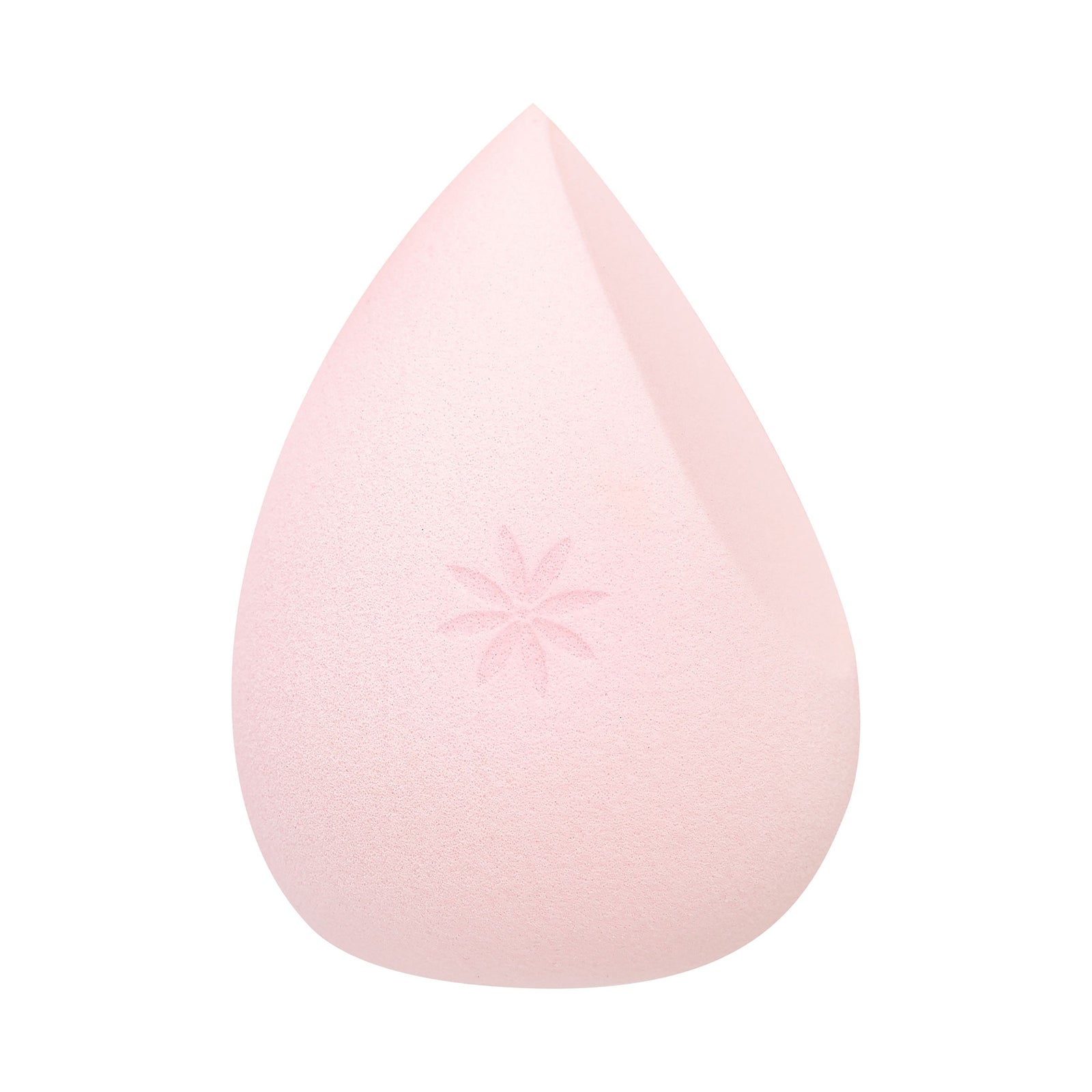 Brush Works HD Multi Tasking Sponge