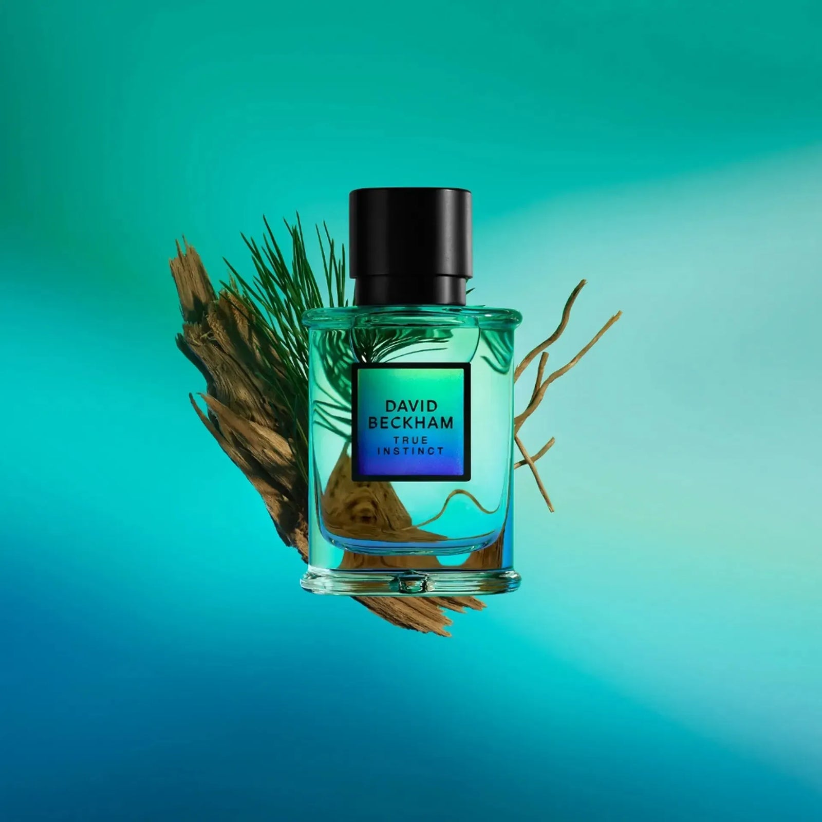David Beckham True Instinct EDP 50ml
