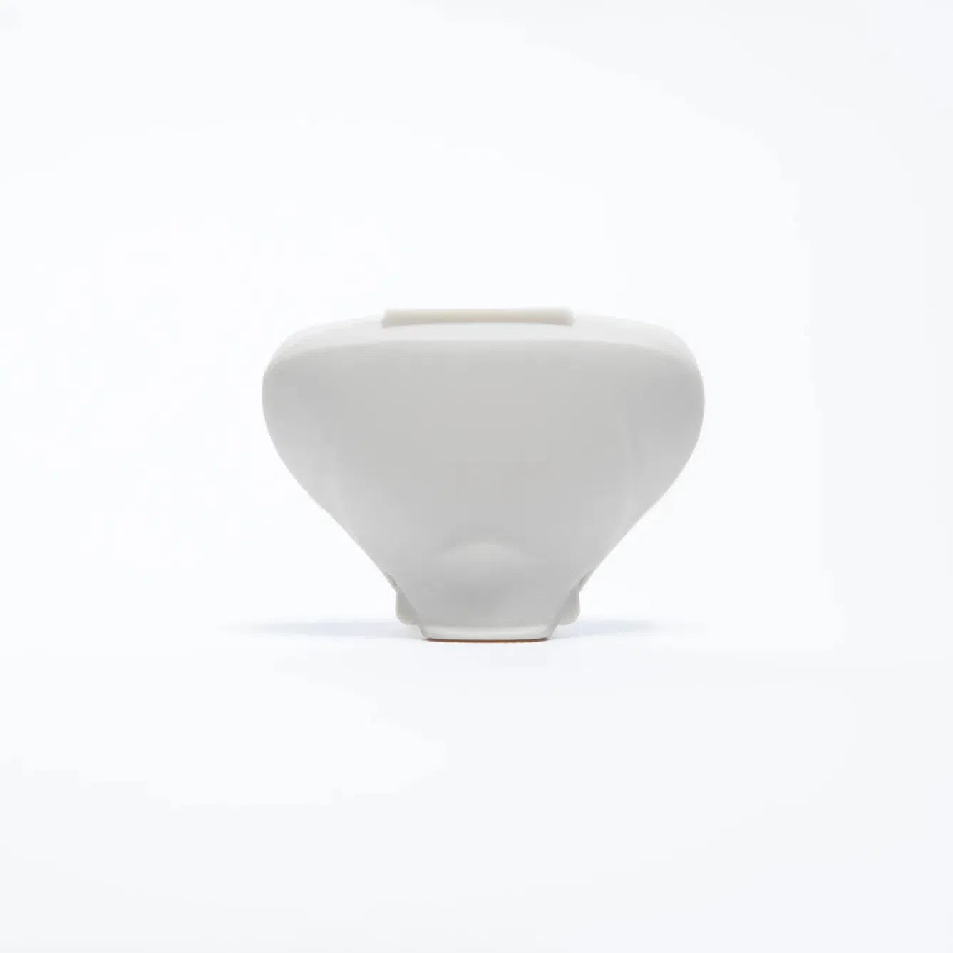 Fler Shaver Travel Case