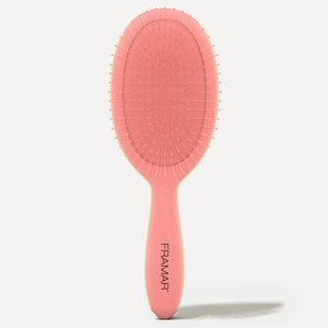 Framar Detangle Beacation Brush