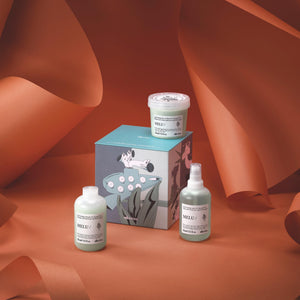 Davines Melu Kit Gjafasett