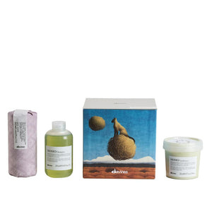 POS - Davines Momo Gjafasett