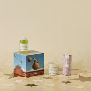 POS - Davines Momo Gjafasett