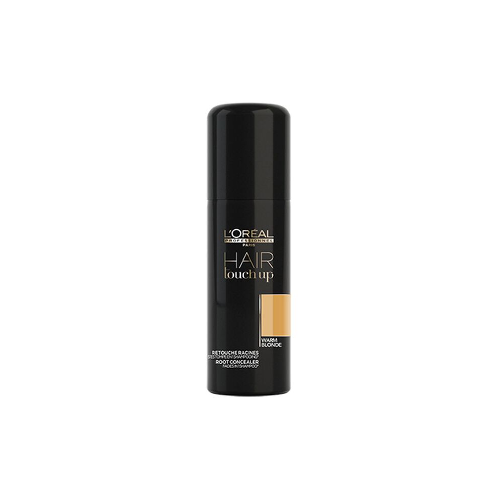 POS - L'oreal Professionnel Touch Up