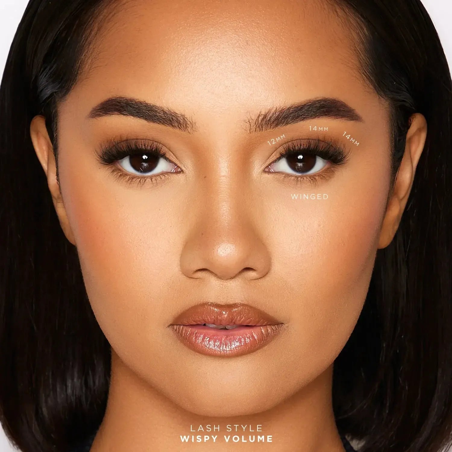 Tatti Lashes 1 Step Press Wispy Volume Map