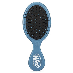 Wet Brush Mini Detangler