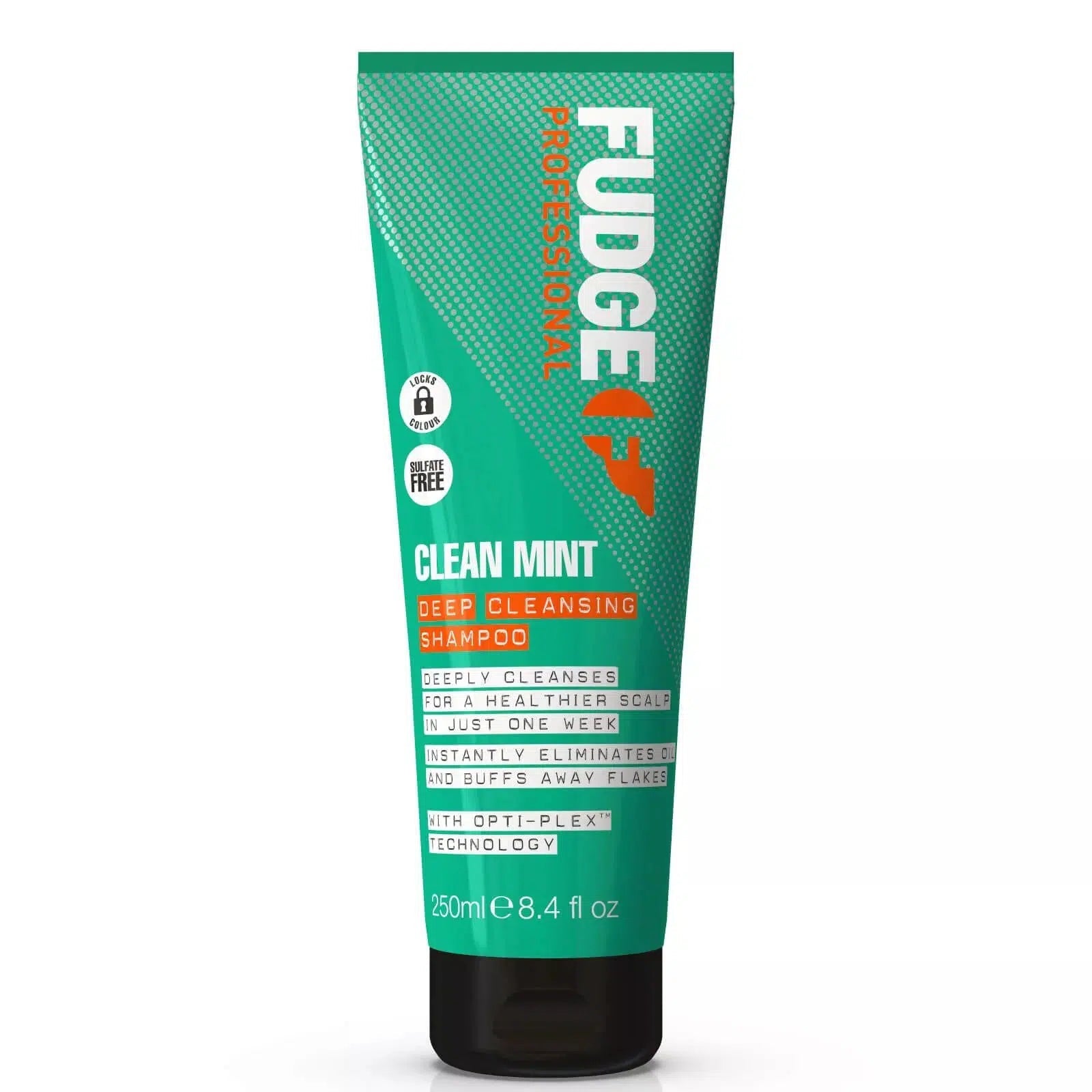 Fudge Clean Mint Sjampó 250ml